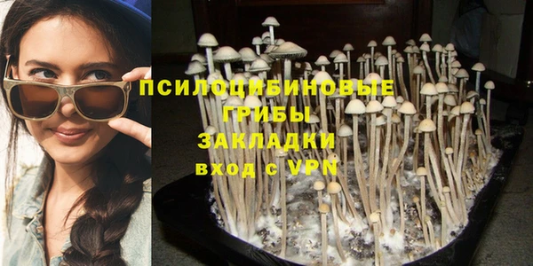 эйфоретик Абинск