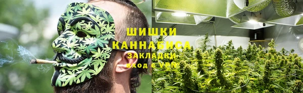 PSILOCYBIN Абдулино