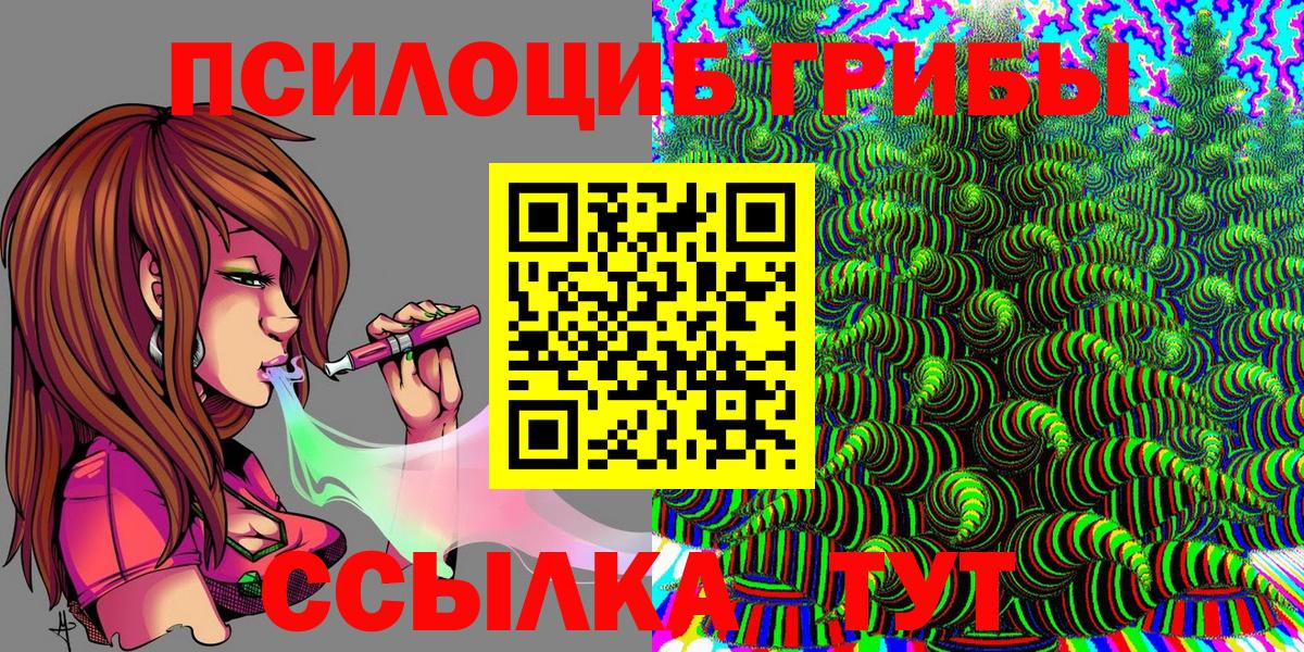Галлюциногенные грибы Psilocybe Тихорецк